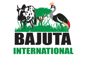 Bajuta International logo