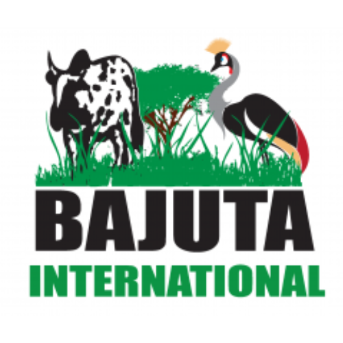 BAJUTA