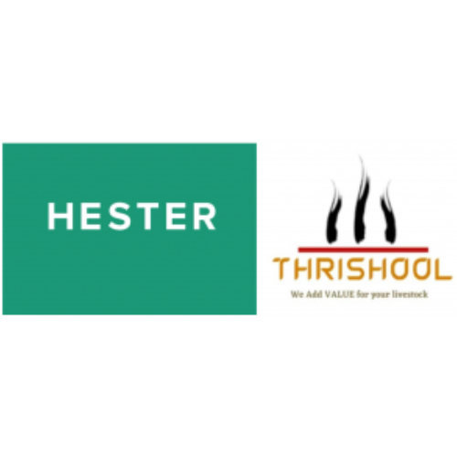 Hester