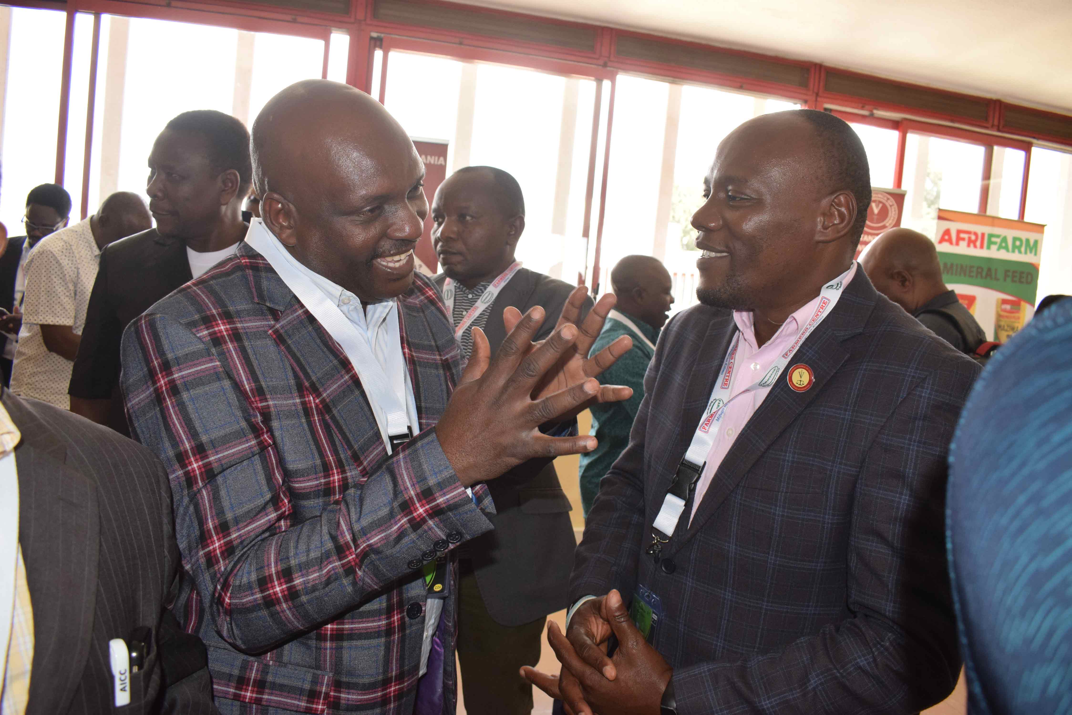 WADAU TVA 2020